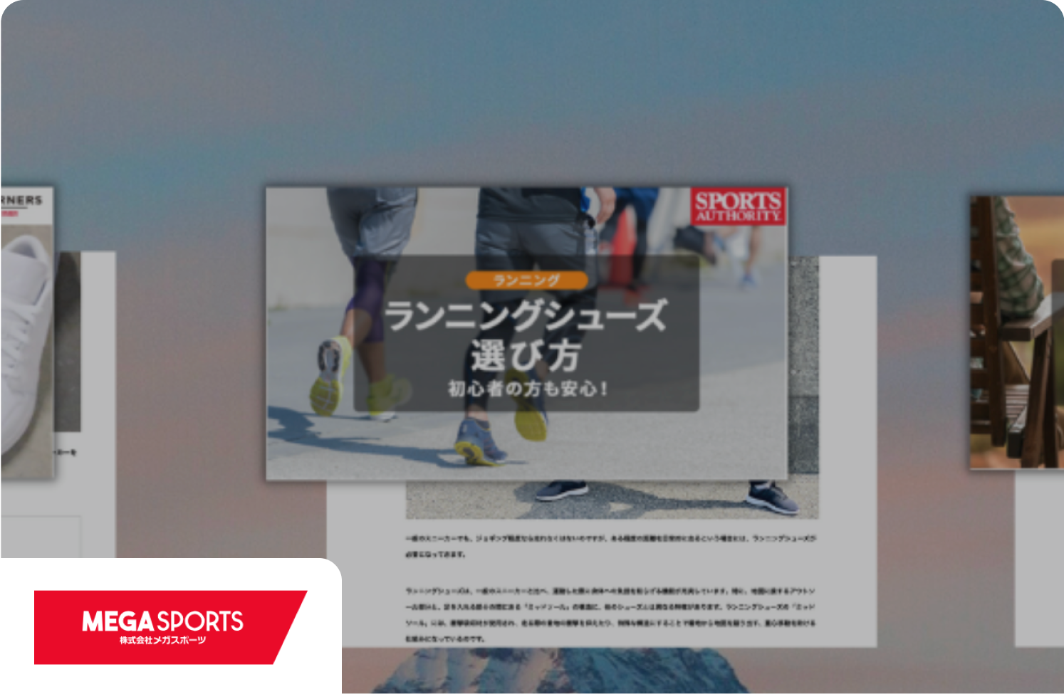 株式会社メガスポーツ 事例